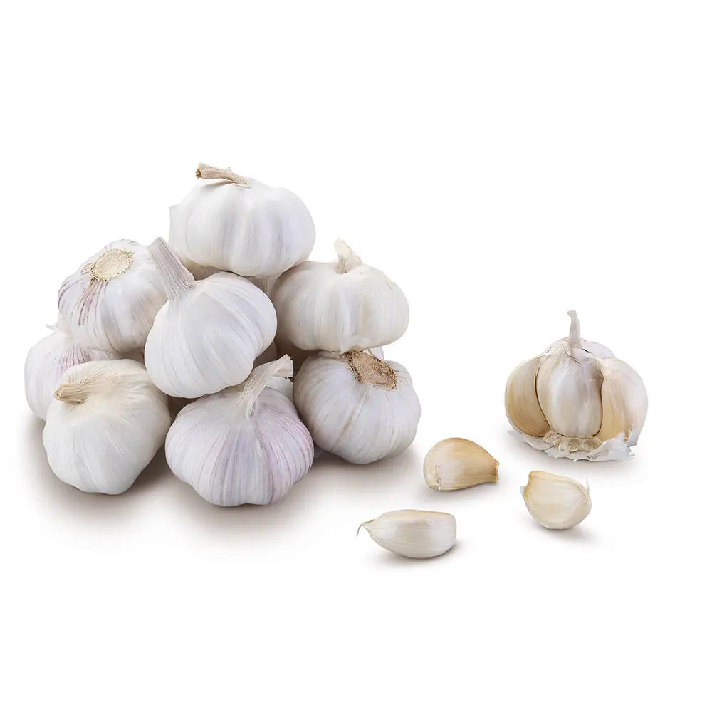 Alho Granel Saco 100g